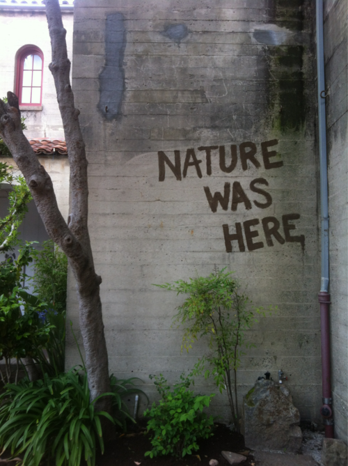 Nature Was Here
